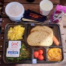 듀크짐 | 애견동반리조트 팔레드차밍 듀크 가든 vs 듀크 테라스 비교 후기