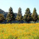 남지어린이공원 이미지