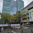 성북4 | 성북구청 주차장 이용 후기 (2025년 4월)