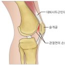 연화랑 이미지