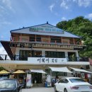 짚핑코리아 | 대둔산 짚라인 방문꿀팁 대전근교여행 내돈내산 후기