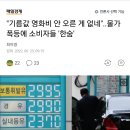 "기름값 영화비 안 오른 게 없네"..물가폭등에 소비자들 '한숨' 이미지