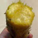 화수로 43 | 2024) 1월 일상