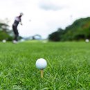 그린샷 골프클럽 이미지