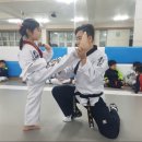 용인대 한울 태권도 이미지