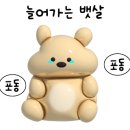 폴바셋거제아주DT점 이미지