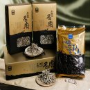 완도5호 이미지