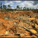 새운농장 이미지