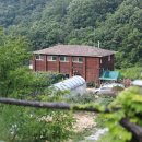 야생초마을아미골 이미지