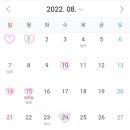 디아르헤어 이미지
