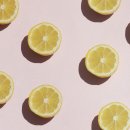 시트러스디자인 이미지