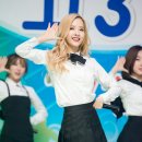 보나 이미지