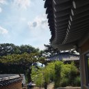 경주의시간 목화 이미지