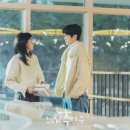 우리 타코 이미지