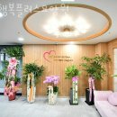 갈담초등학교 | 화성요양원 행복플러스요양원 정보안내