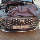 양산 반달곰 카센타 이미지