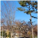 가락로63번길 이미지