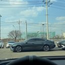루마버택스/레이노