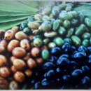 웰케어메디 이미지