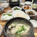 남금당 | 순천 금당 맛집 능이담 | 순천백숙 맛집 능이삼계탕 솔직후기