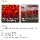 하이오커피가야공원점
