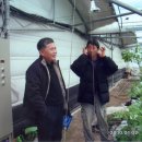 상월 농장 이미지