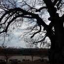 하구3리 이미지