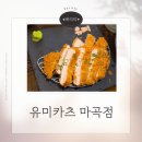 유미 | 마곡 돈까스 맛집 유미카츠 마곡점 후기