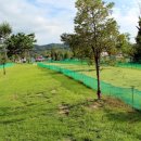 파크골프공원 파크골프장 이미지