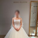드레스지음 | 부산 모니카블랑쉬 드레스샵 지정 후기 잔잔비즈 탑드레스