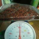 태백건재 이미지