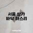 송림경기지사 이미지