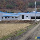 보은낙농영농조합법인 이미지