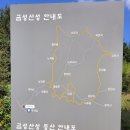 금성문