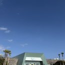 한담 애 | [제주도] : 너무 즐거웠던 돈값하는 제주 아쿠아플라넷, 공연 후기