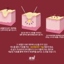올라라 이미지