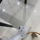 독클래스 이미지