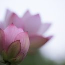 6834, 아는 척만 하는 자는 되지 마라.. 이미지