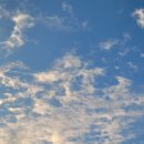 소중한 너라서 이미지