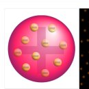 말 모형 이미지