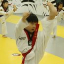 화이트 타이거 태권도 이미지