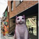 근처고깃집 이미지