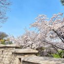 삼하 이미지