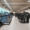 데일리 핏 이미지