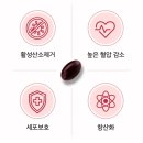 유한파트너스 | 혈압 관리 고민인 분들 주목! 유한양행 코큐텐 리뉴얼 후기 (내돈내산 정기 주문)