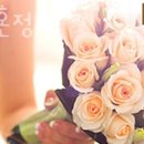 강남닥스결혼정보회사 이미지