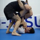 노기글로벌 네이버블로그