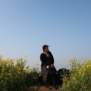 성공렌트카 네이버블로그
