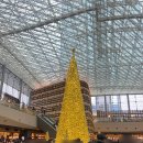 제트이비인후과의원 이미지