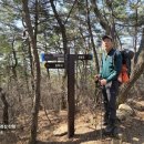 성재산성 이미지